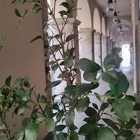 Lo Studio 3* Cava deʼ Tirreni